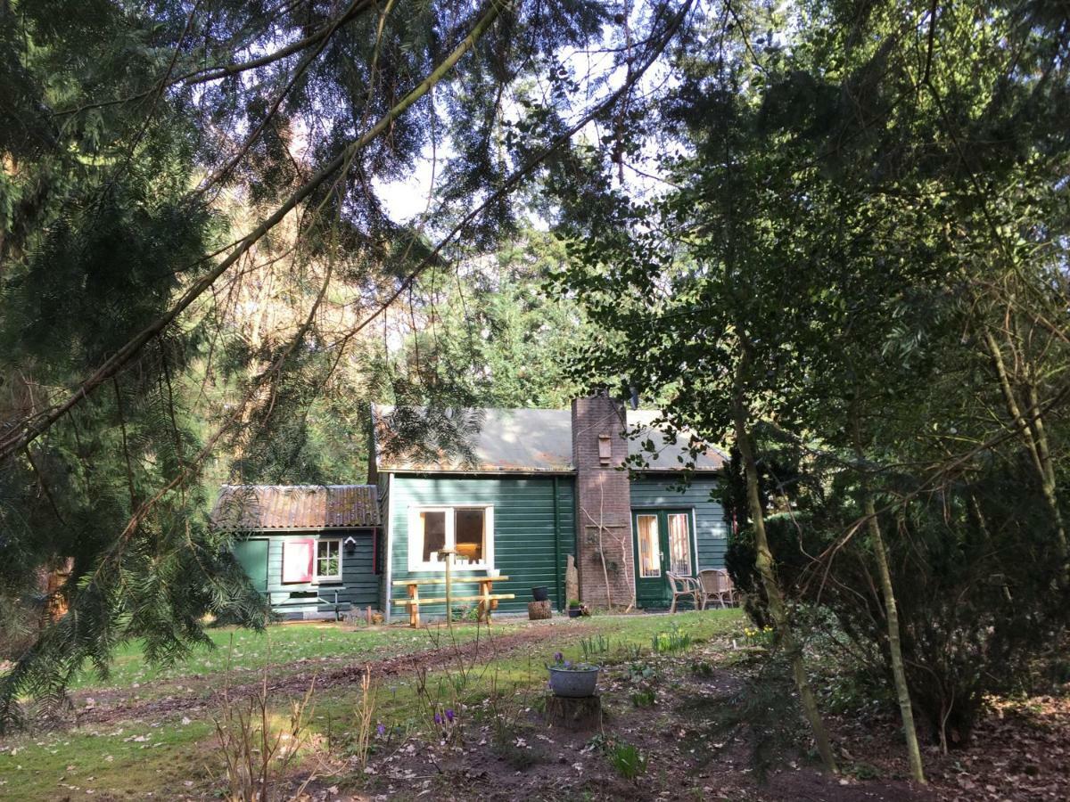 Landgoed De Heezeberg Villa Diever Dış mekan fotoğraf