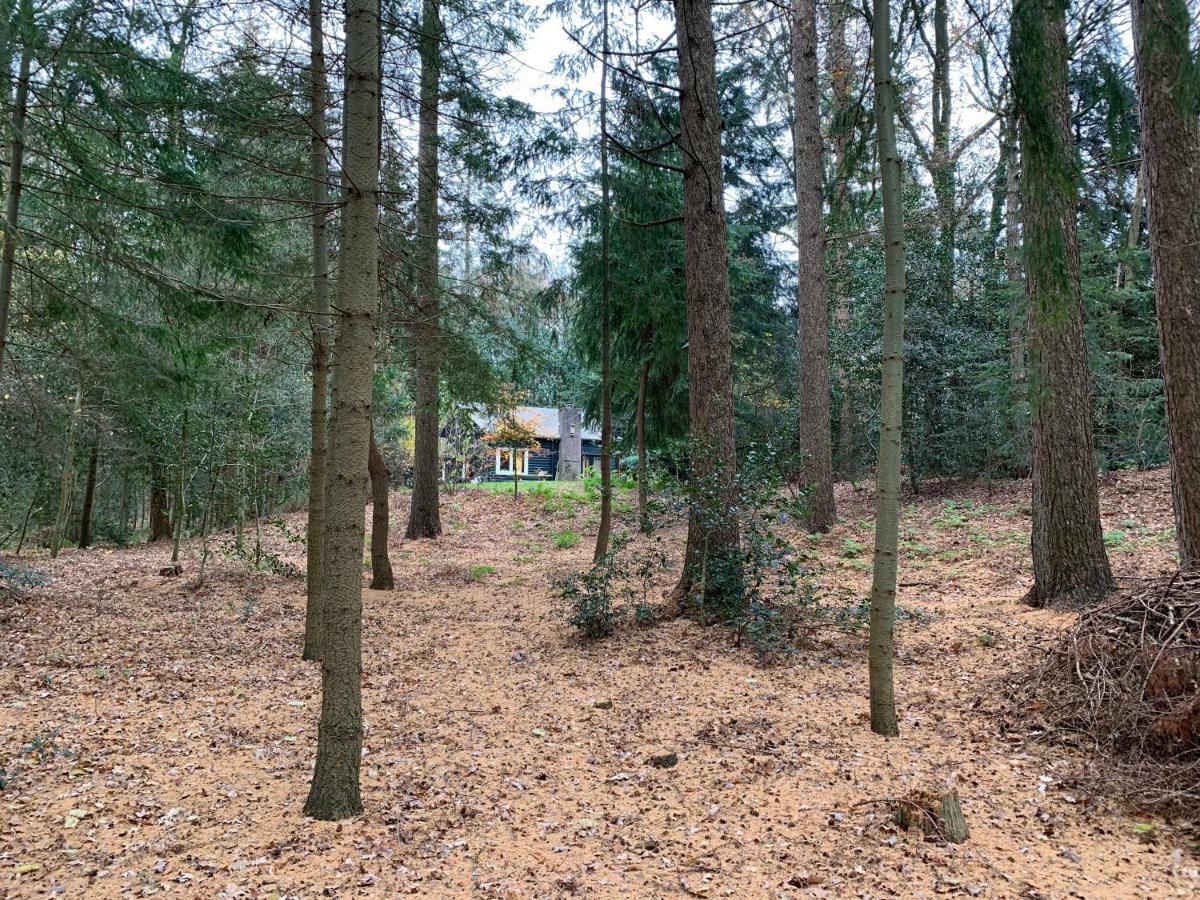 Landgoed De Heezeberg Villa Diever Dış mekan fotoğraf